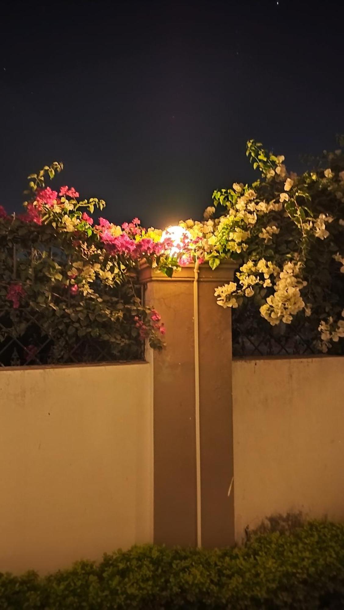 Shree Nanda Guest House Varanasi Bagian luar foto